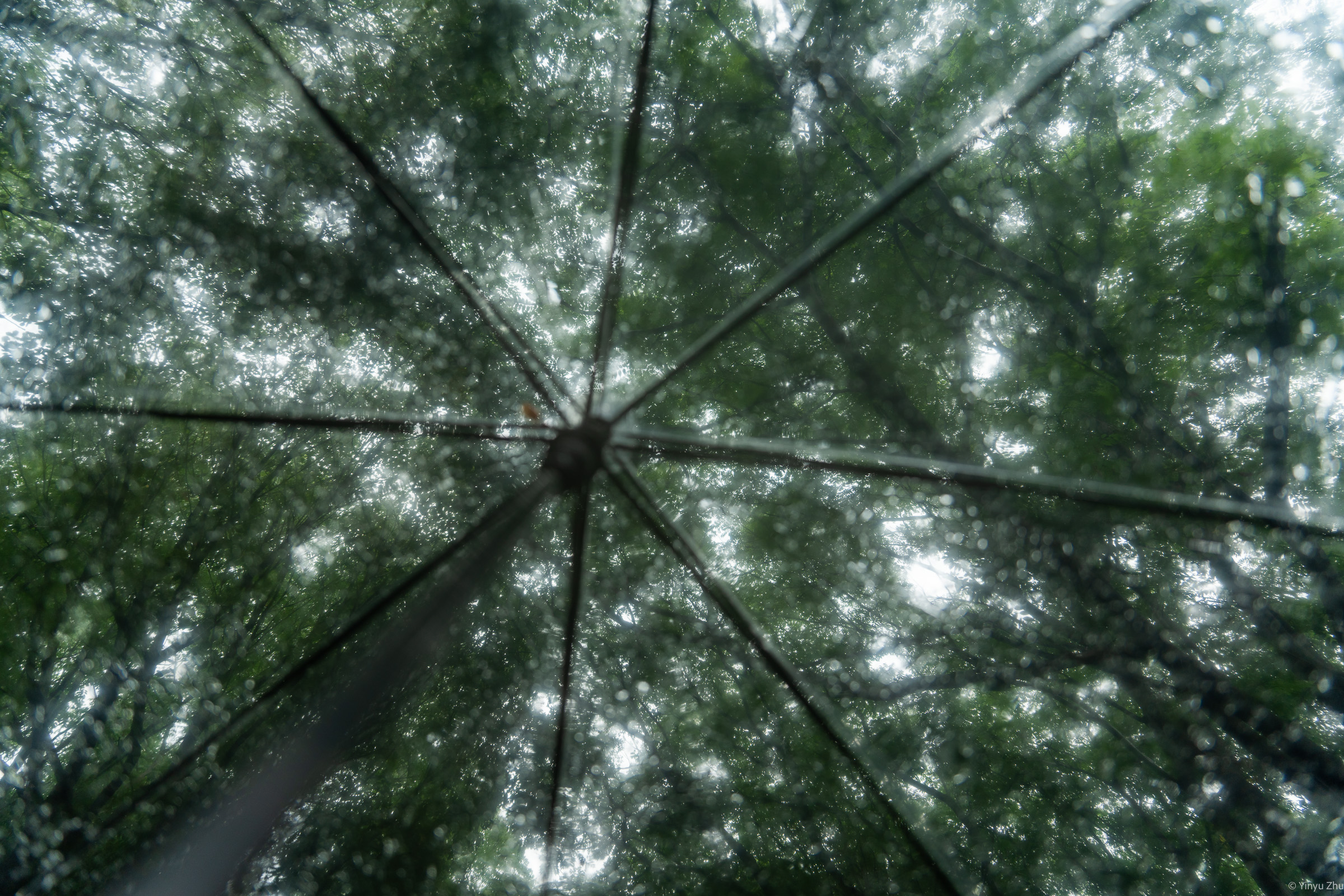 片段 13